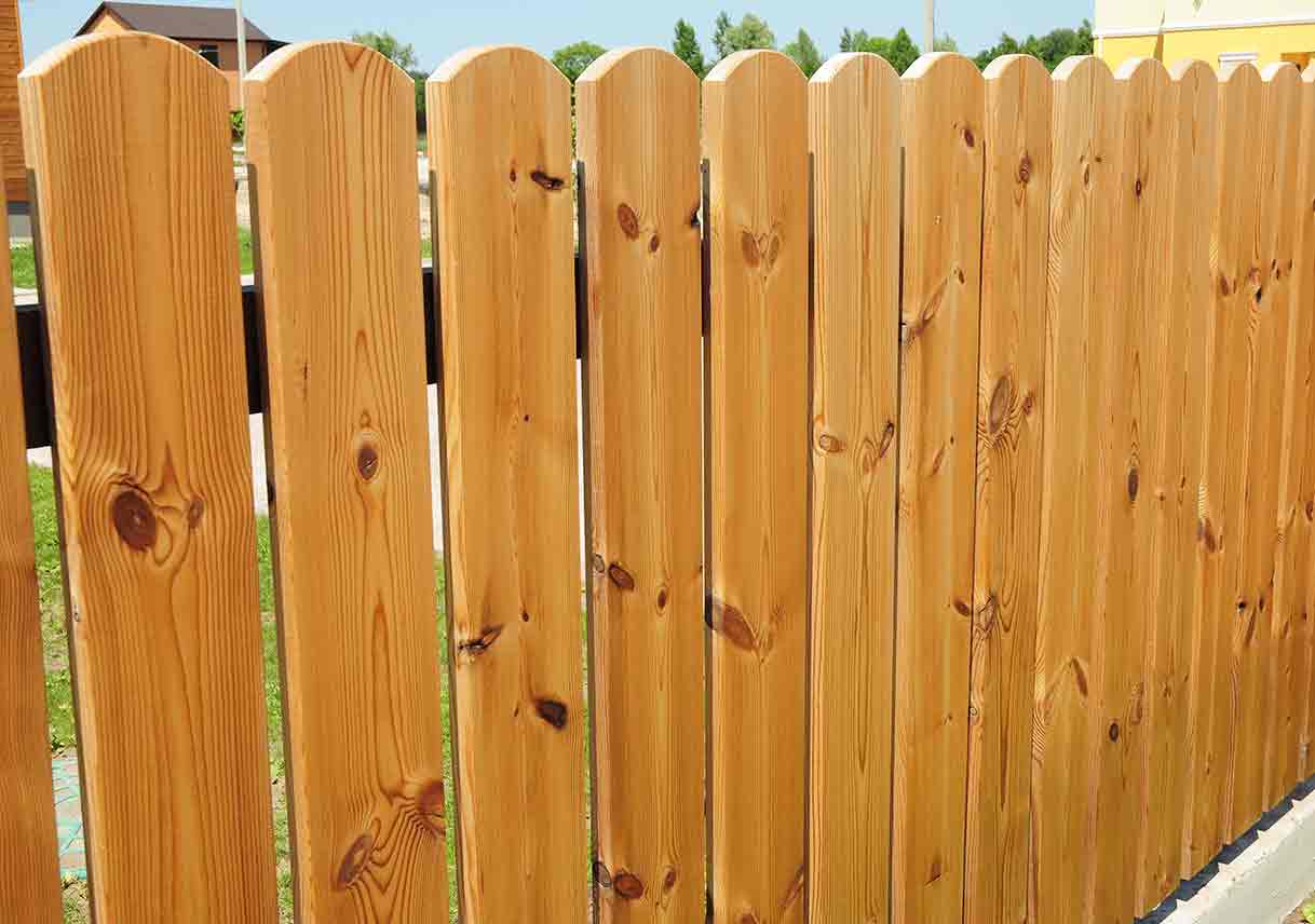 Common Wood Fence Issues>